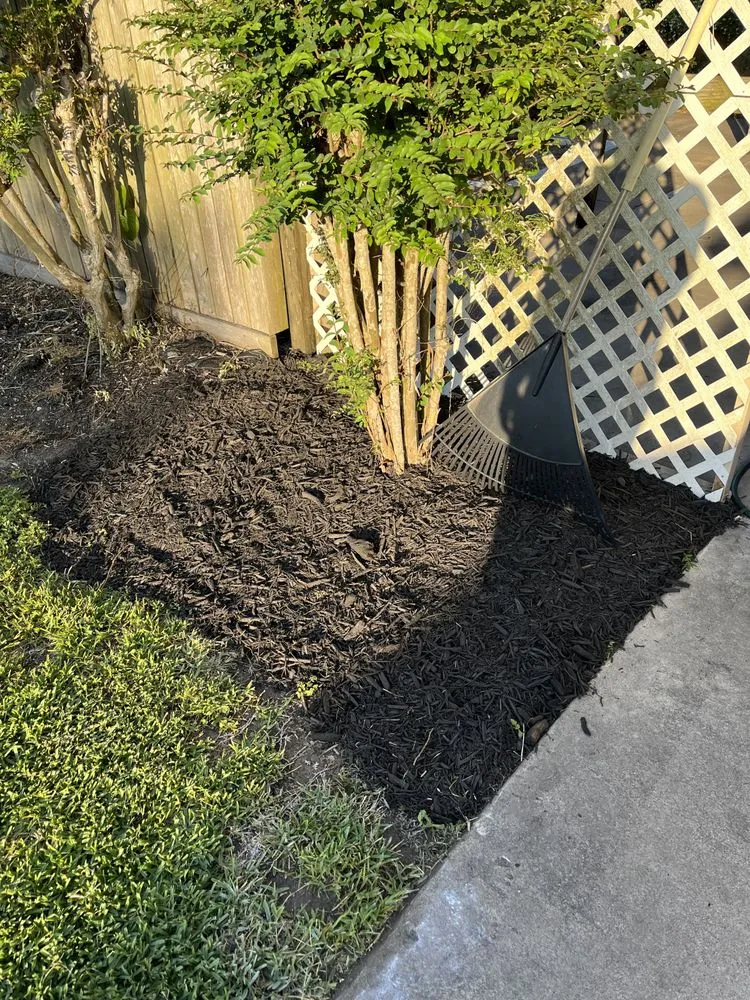 Reliable yard maintenance in Alvin, TX by Greener Lawns