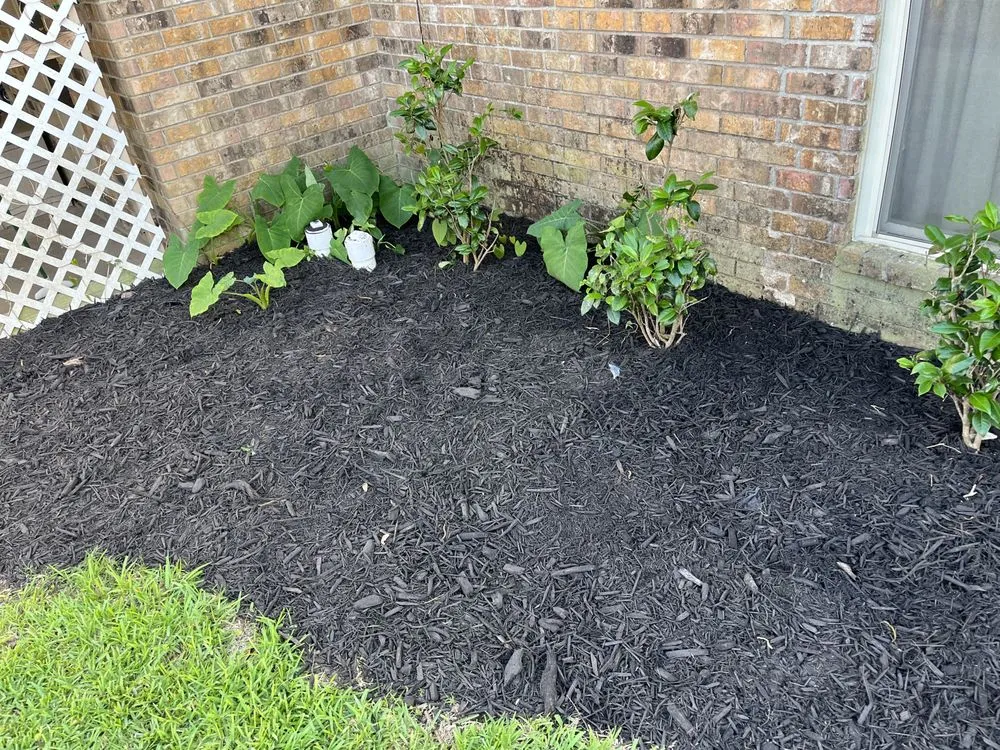 Custom lawn care service near you in Alvin, TX by Greener Lawns