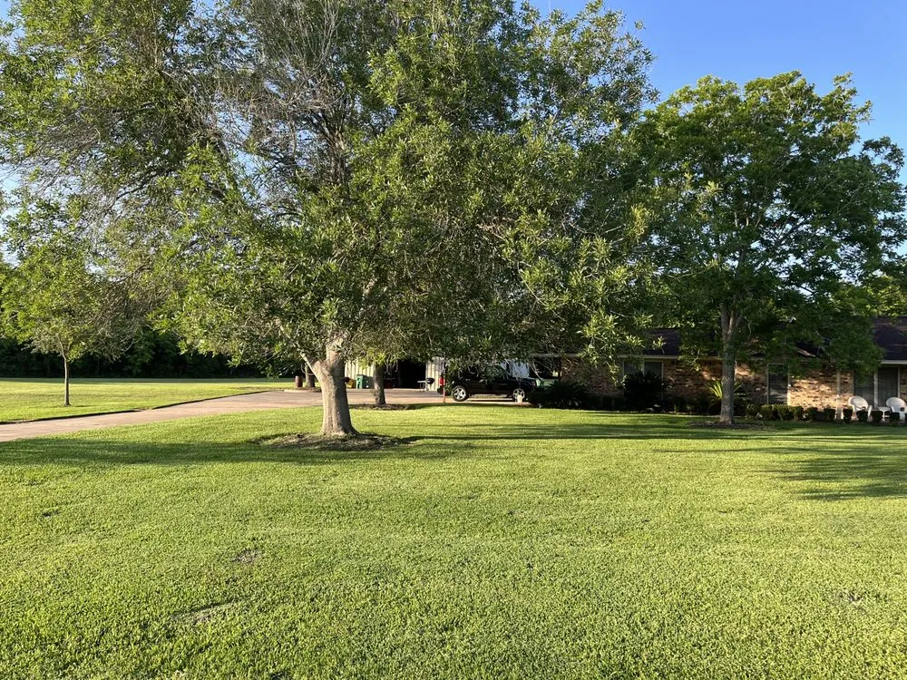 Trusted landscaping services with custom design across Alvin, TX - Greener Lawns