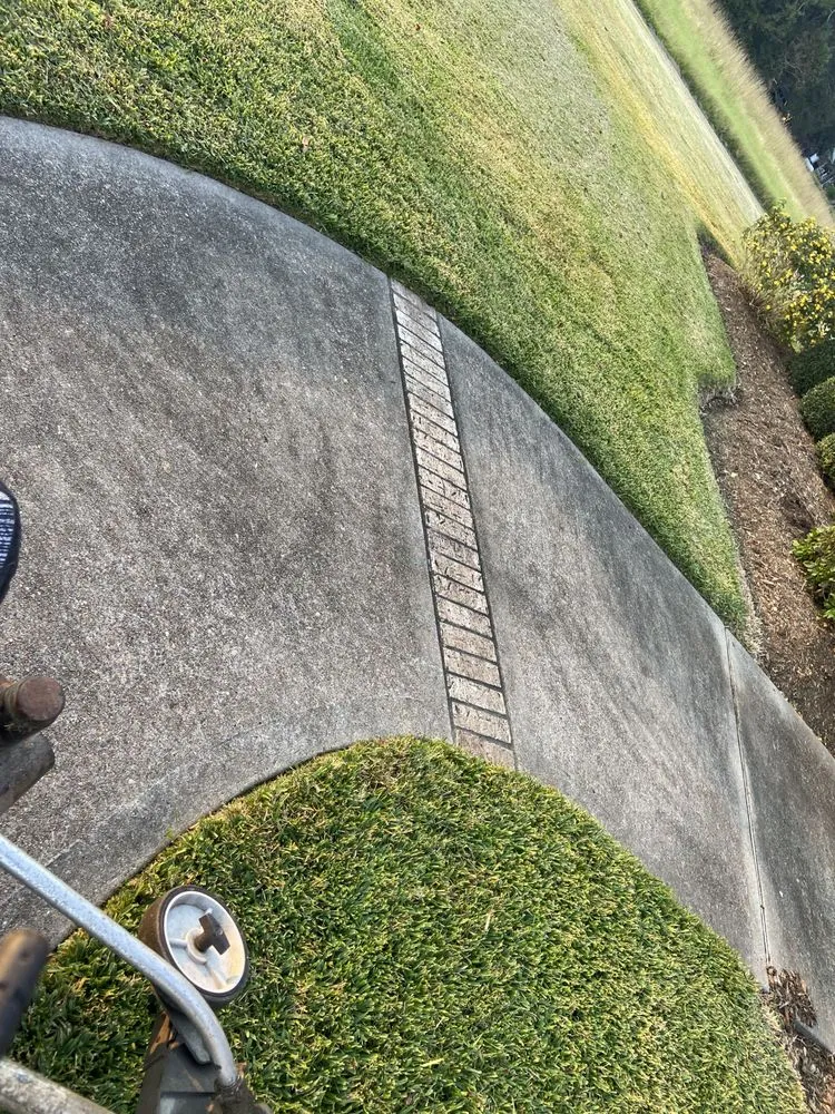 Affordable lawn care service experts serving Alvin, TX - Greener Lawns