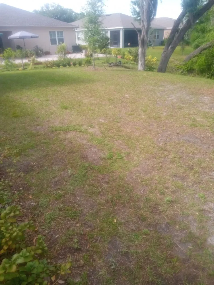 Affordable landscaping services in Wildwood, FL by Greener Lawns And Mowing