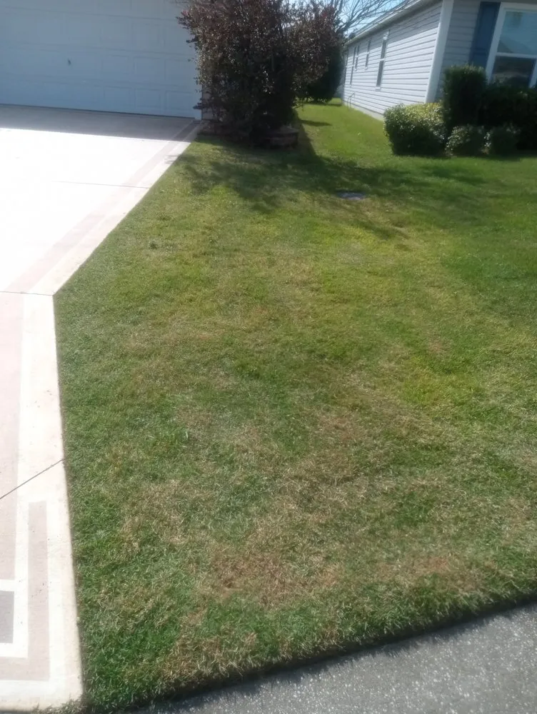 Reliable yard cleanup service in Wildwood, FL - Greener Lawns And Mowing