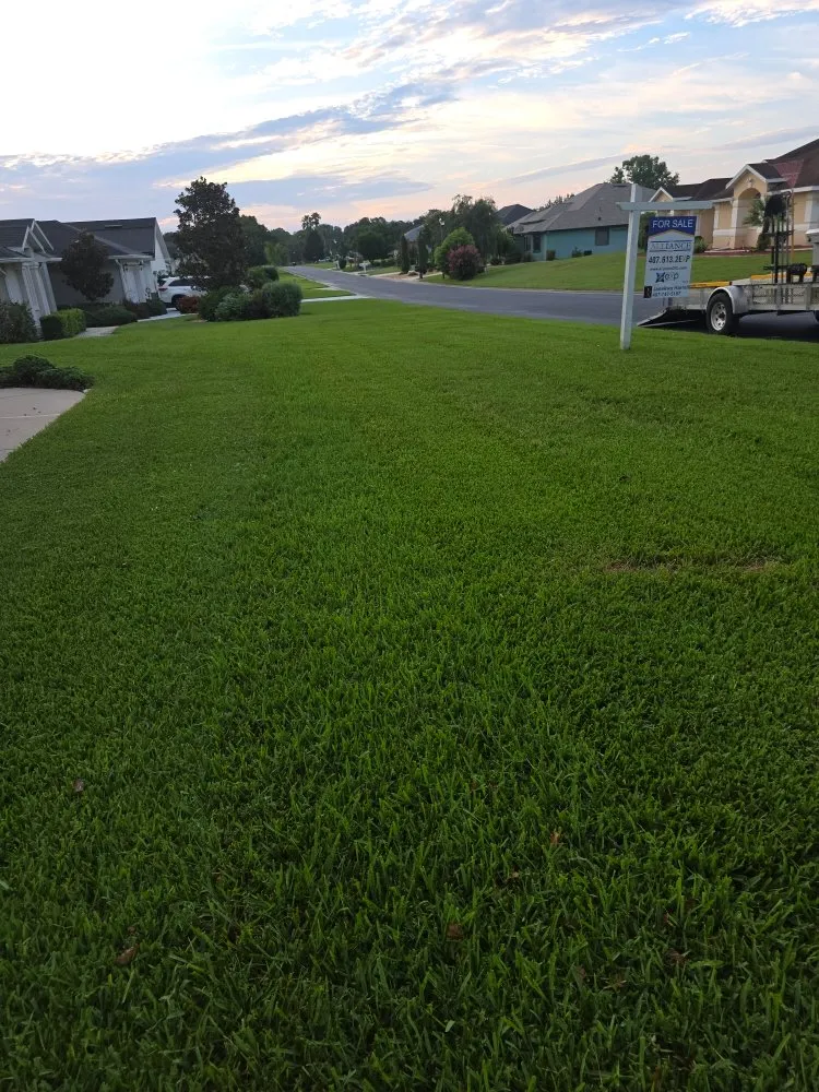 Professional lawn mowing service in Wildwood, FL - Greener Lawns And Mowing