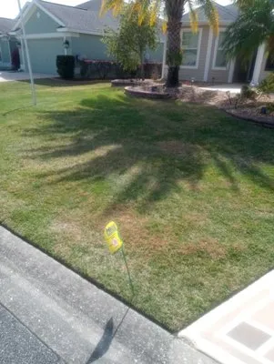 Greener Lawns And Mowing Logo