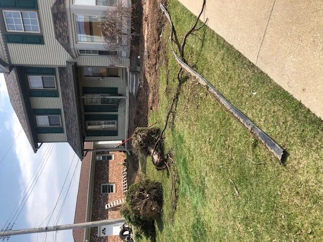 Top-rated outdoor landscaping for year-round maintenance in Flat Rock, MI by Greener Lawns