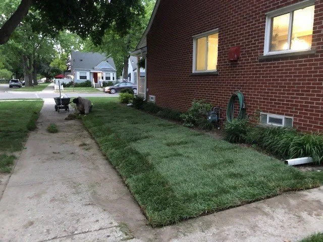 Local yard maintenance for beautiful yards in Flat Rock, MI by Greener Lawns