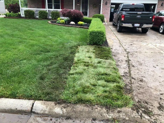 Reliable landscaping services in Flat Rock, MI by Greener Lawns