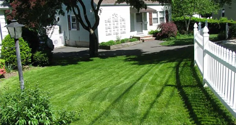 Custom yard cleanup service experts serving Millington, NJ - Greener Lawns