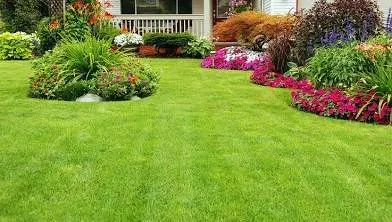 Local landscape design near you in Winterville, NC by Greener Lawns