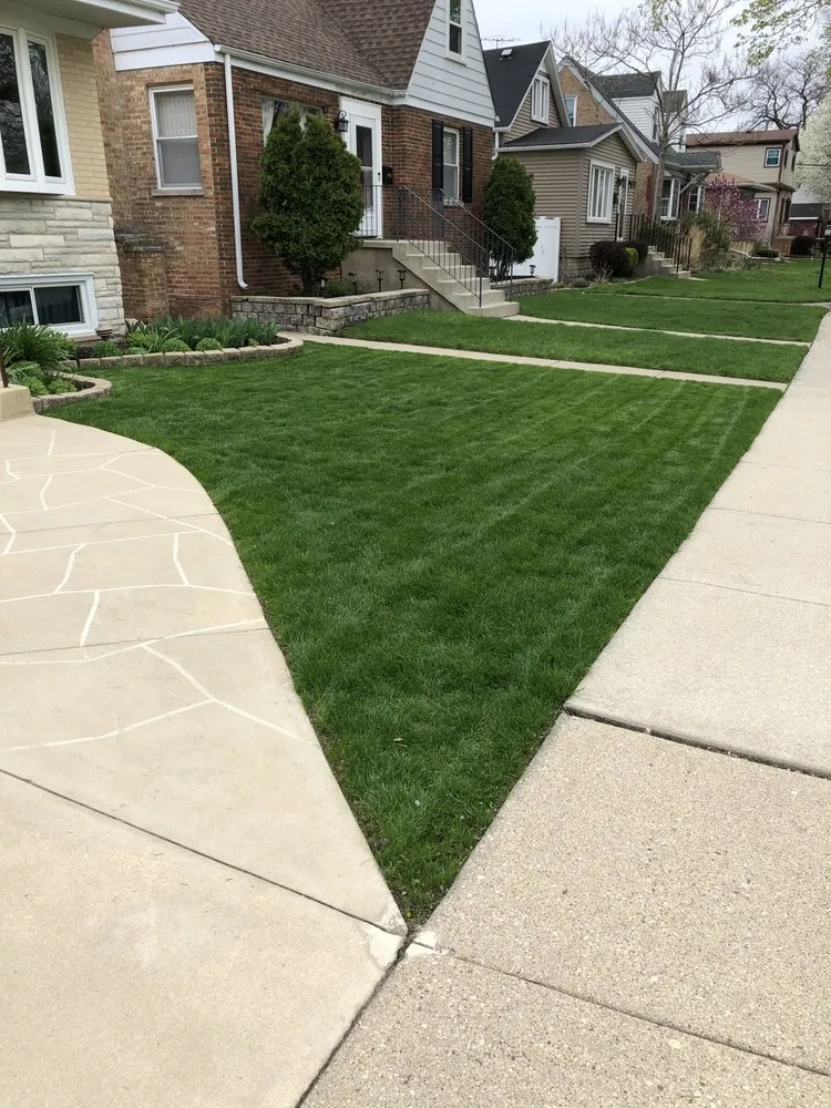 Top-rated landscaping services near you in Chicago, IL by Greener Living