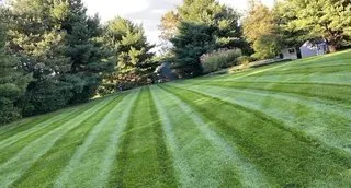 Custom lawn care service in Taunton, MA by Greener Oasis Landscaping