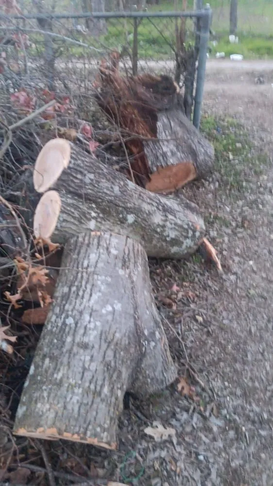 Professional landscape design for residential properties in Waco, TX by Greener On The Other Side