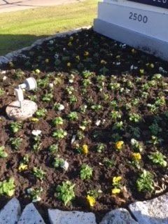 Local lawn care service for outdoor upgrades in Ennis, TX by Greener Outdoor Services