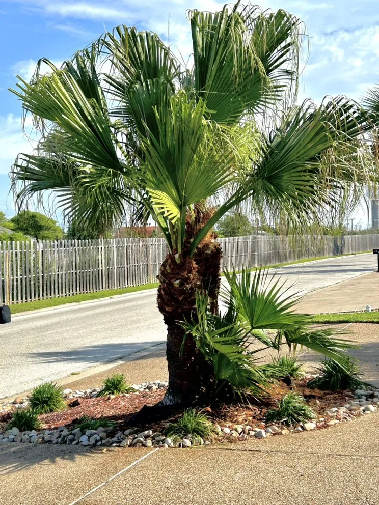 Trusted landscape design for year-round maintenance in Ingleside, TX by Greener Pastures Lawn and Garden