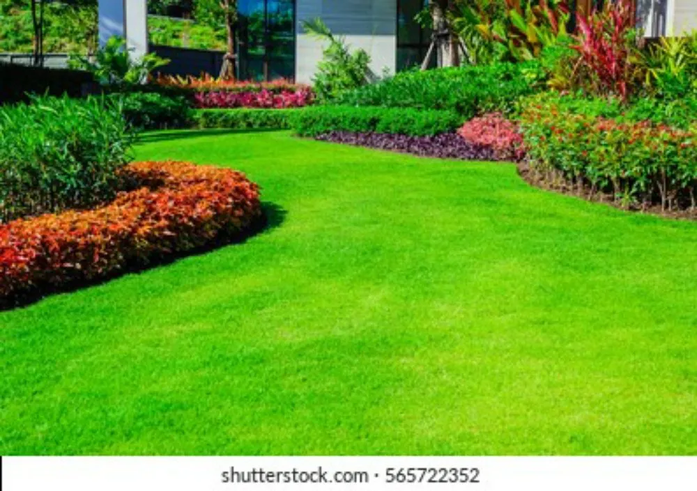Professional residential landscaping for beautiful yards across Maceo, KY - Greener Pastures Lawn Care