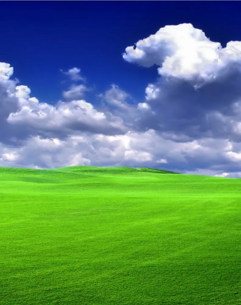 Custom landscape installation experts serving Maceo, KY - Greener Pastures Lawn Care