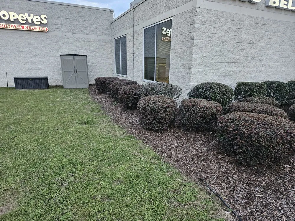 Professional landscape design in Northport, AL - Greener Pastures Lawn Care