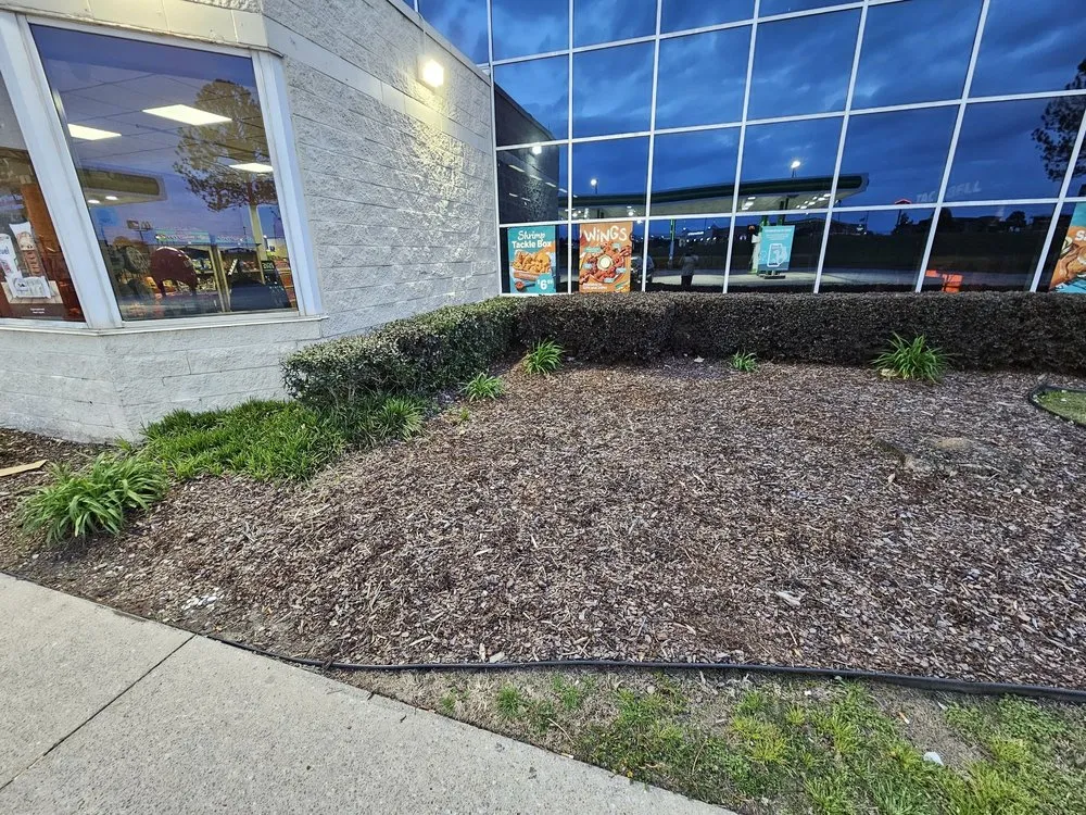 Reliable landscape design experts serving Northport, AL - Greener Pastures Lawn Care