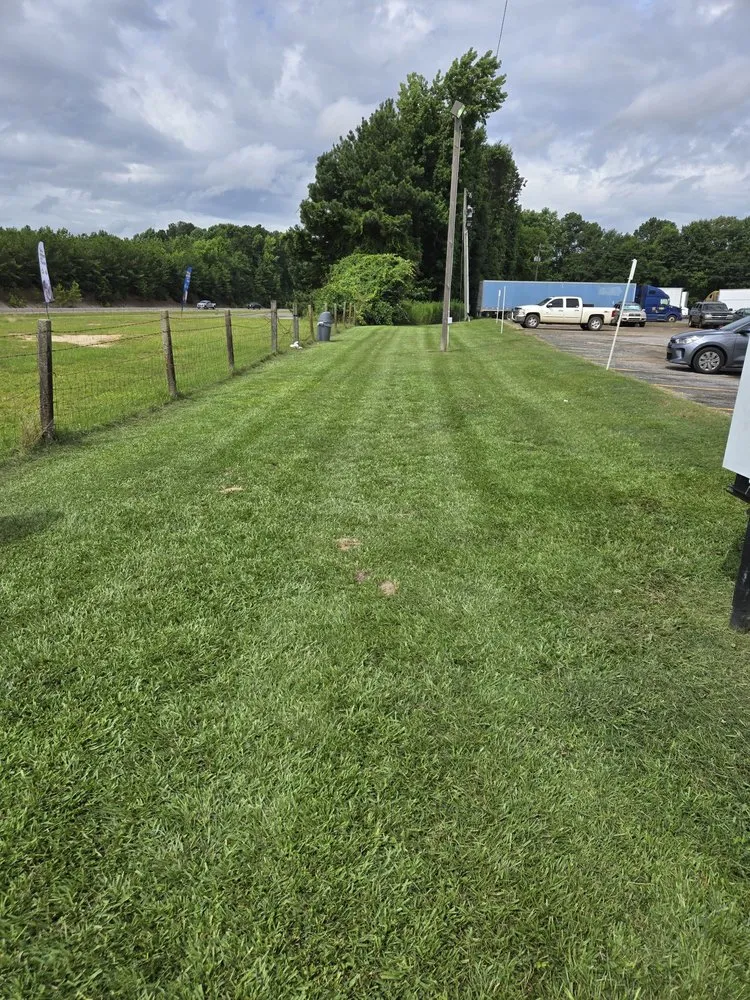 Professional landscape installation for year-round maintenance in Northport, AL by Greener Pastures Lawn Care