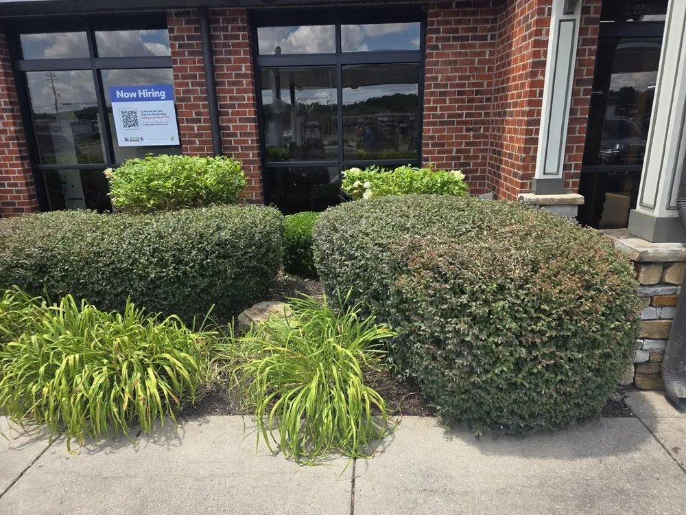 Expert landscape design for residential properties across Northport, AL - Greener Pastures Lawn Care