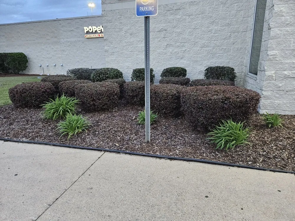 Trusted garden landscaping experts serving Northport, AL - Greener Pastures Lawn Care