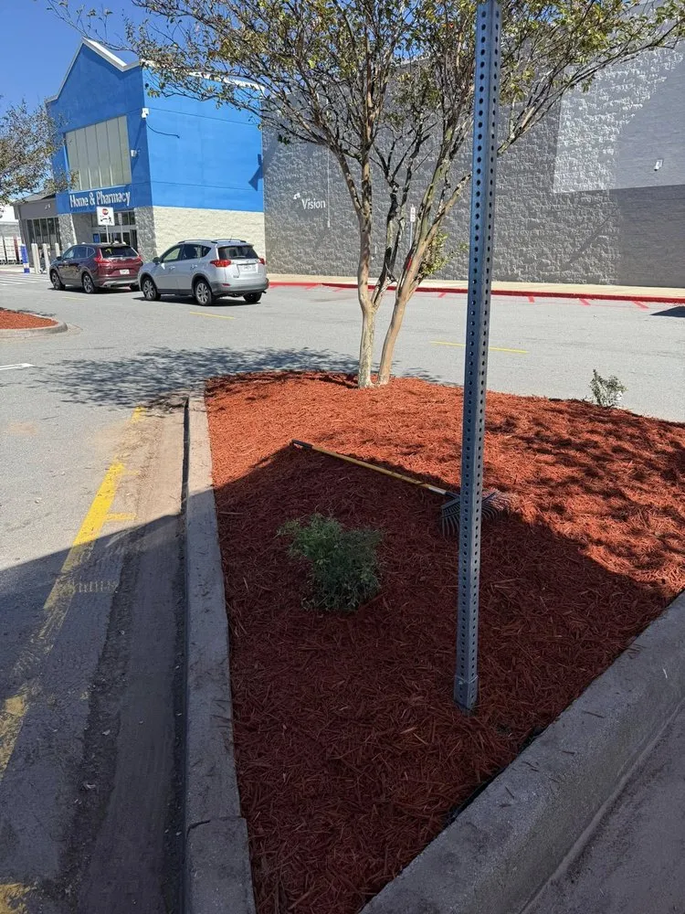 Expert yard cleanup service for beautiful yards across Saint Simons Island, GA - Greener Pastures Lawn Care