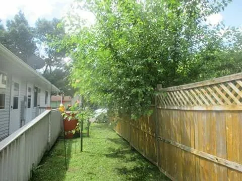 Top-rated residential landscaping experts serving Stanley, WI - Greener Pastures Lawncare