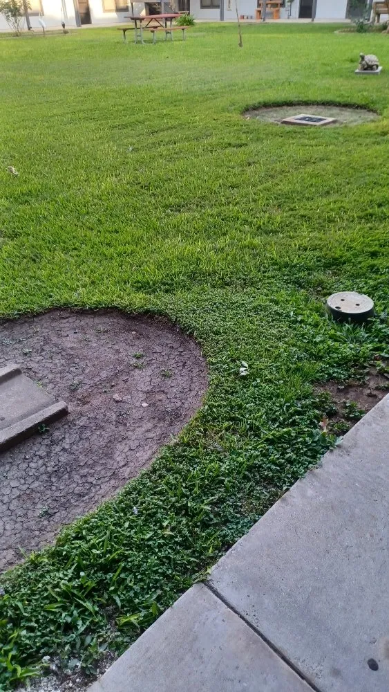 Affordable yard cleanup service in San Antonio, TX - Greener Pastures