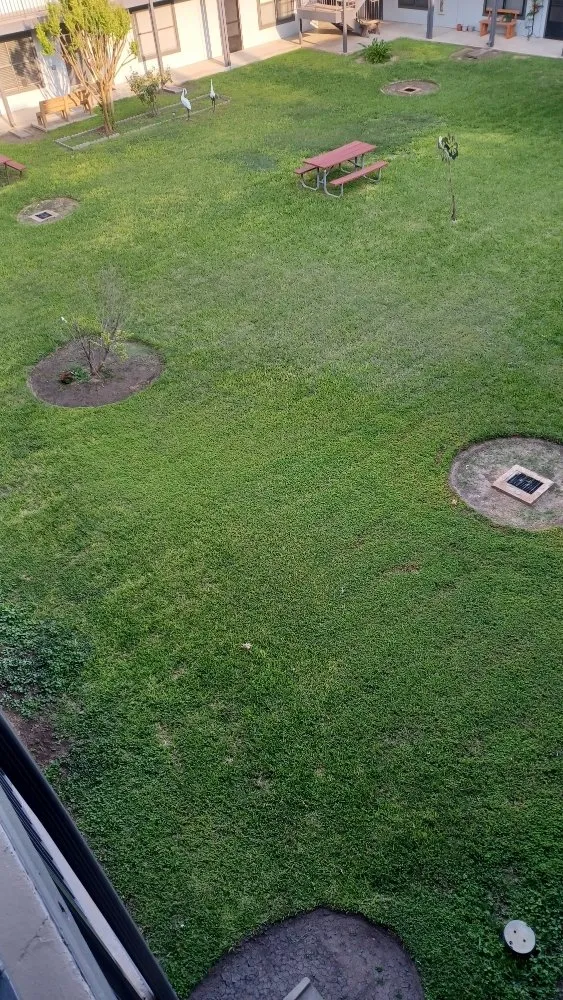 Trusted landscape installation experts serving San Antonio, TX - Greener Pastures