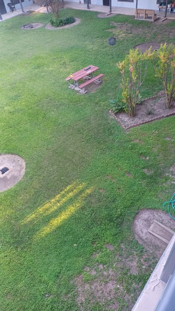 Top-rated yard maintenance for outdoor upgrades across San Antonio, TX - Greener Pastures