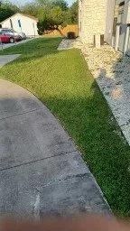 Professional yard cleanup service in San Antonio, TX - Greener Pastures