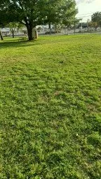 Local landscape installation for year-round maintenance across San Antonio, TX - Greener Pastures