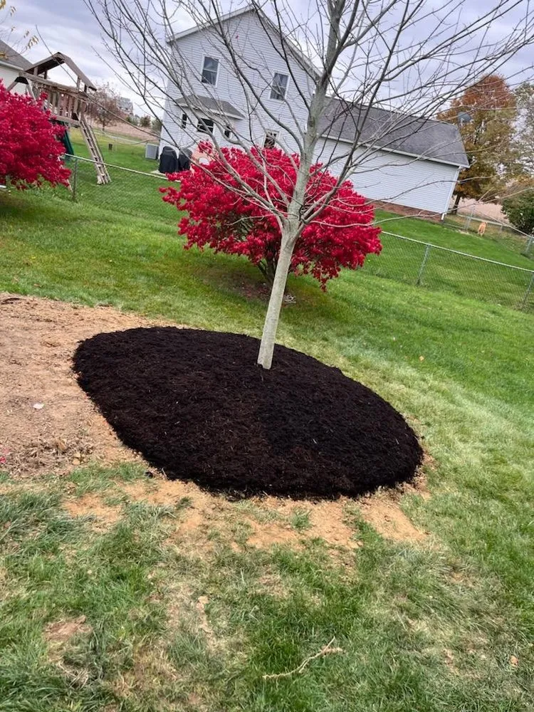 Reliable garden landscaping experts serving Canton, OH - Greener Scapes Irrigation & Landscaping