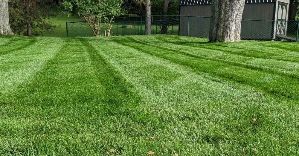 Trusted yard cleanup service in Canton, OH - Greener Scapes Irrigation & Landscaping