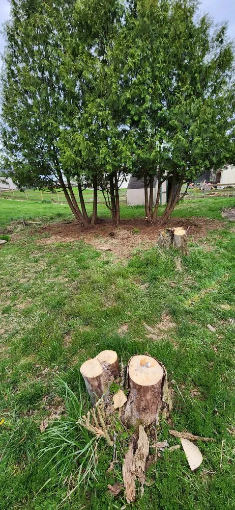 Trusted landscape design in Jonestown, PA by Greener Seasons Lawn Care & Landscaping