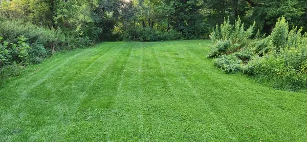 Greener Seasons Lawn Care & Landscaping