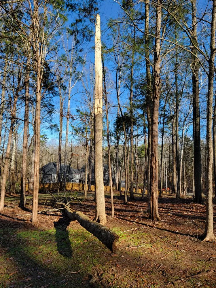 Expert outdoor landscaping experts serving Davidson, NC - Greener side