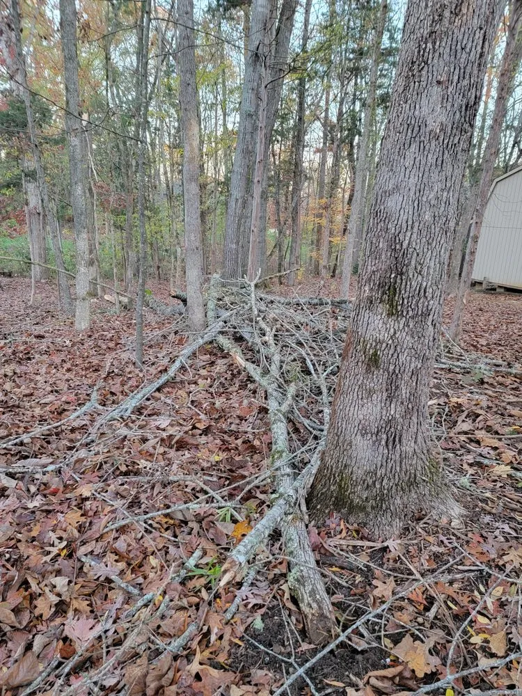 Top-rated lawn care service for homes in Davidson, NC by Greener side