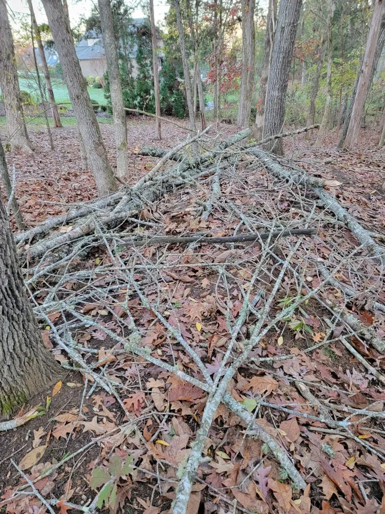 Trusted yard maintenance for outdoor upgrades in Davidson, NC by Greener side