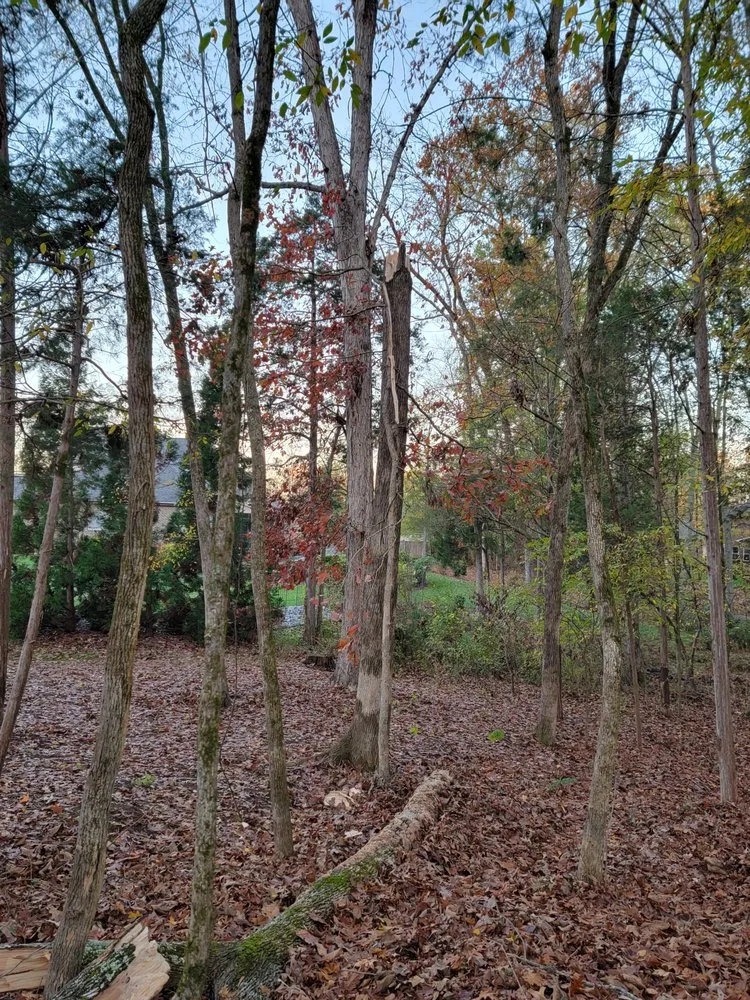 Custom lawn mowing service in Davidson, NC - Greener side