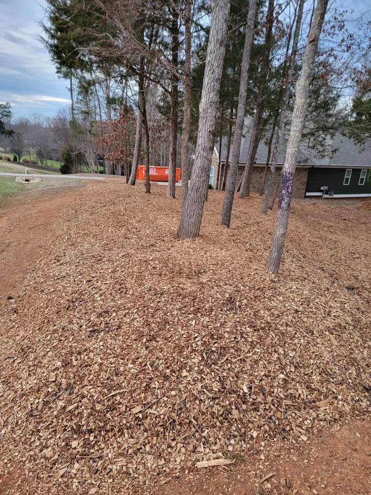 Trusted garden landscaping experts serving Davidson, NC - Greener side