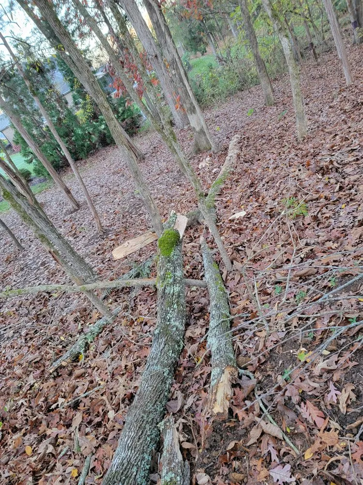 Expert lawn mowing service in Davidson, NC - Greener side