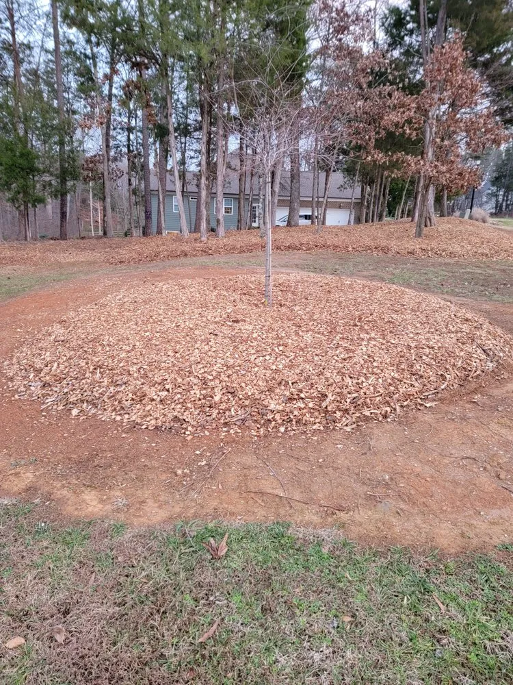 Custom landscape installation in Davidson, NC - Greener side
