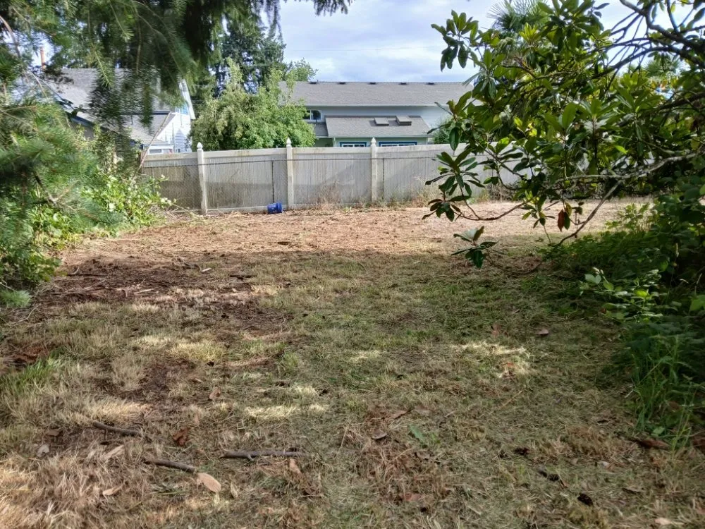 Local yard cleanup service with custom design in Dayton, OR by Greener Side