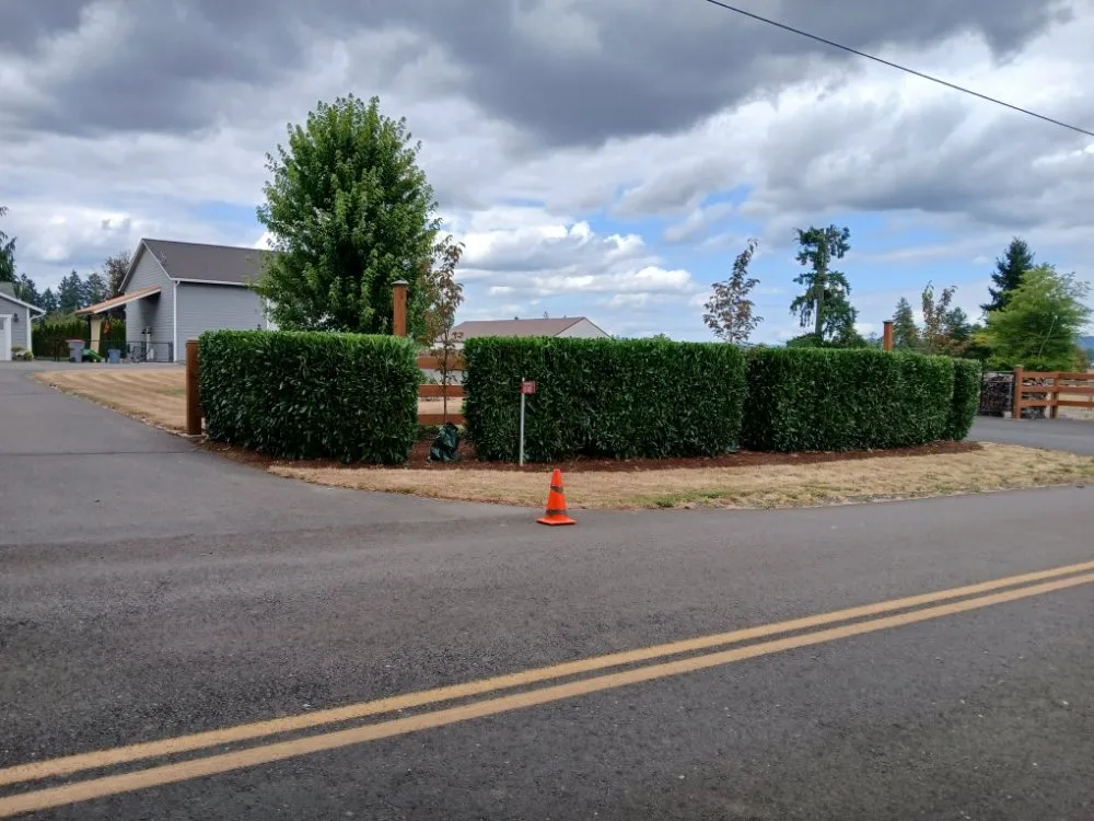 Top-rated landscape installation for outdoor upgrades across Dayton, OR - Greener Side