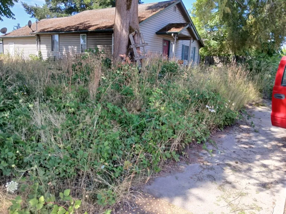 Reliable garden landscaping in Dayton, OR - Greener Side