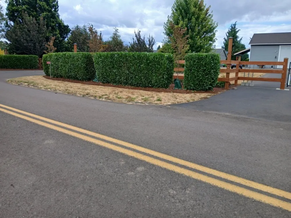 Local lawn mowing service in Dayton, OR - Greener Side