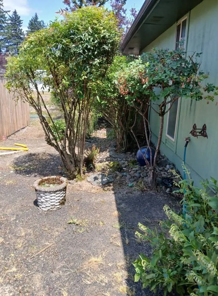 Reliable landscape installation for outdoor upgrades in Dayton, OR by Greener Side