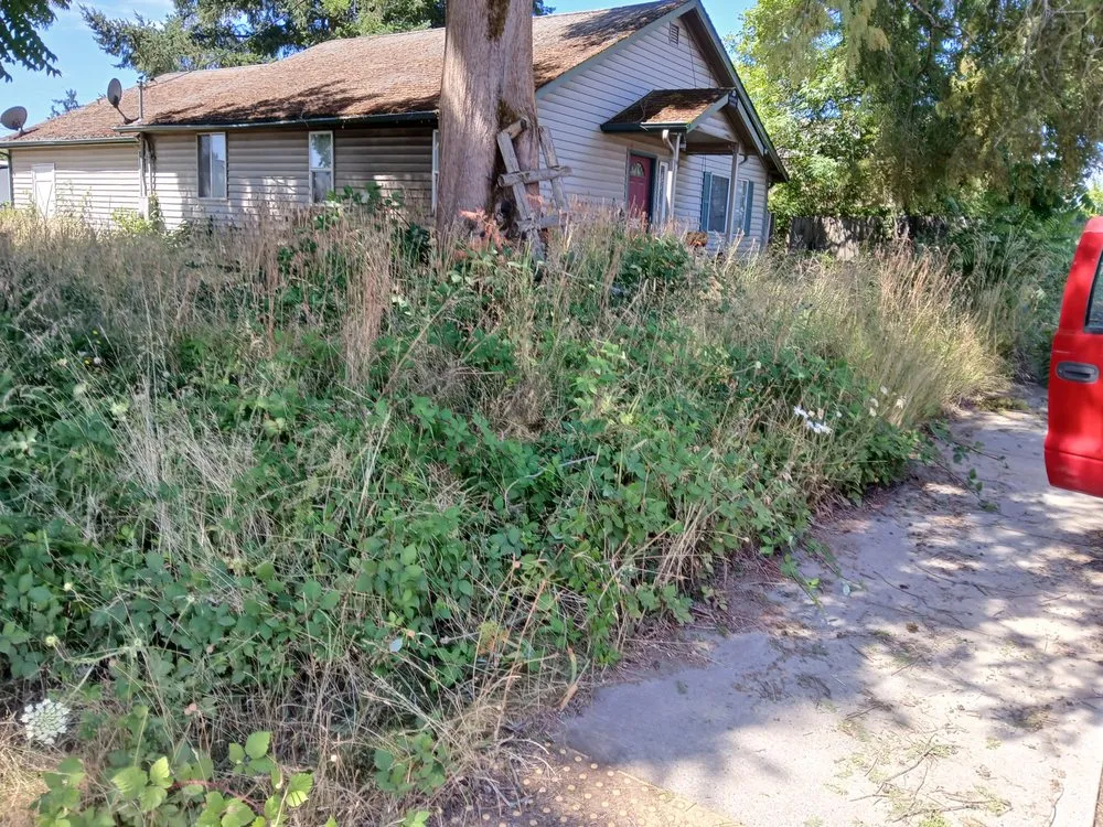 Top-rated garden landscaping in Dayton, OR - Greener Side