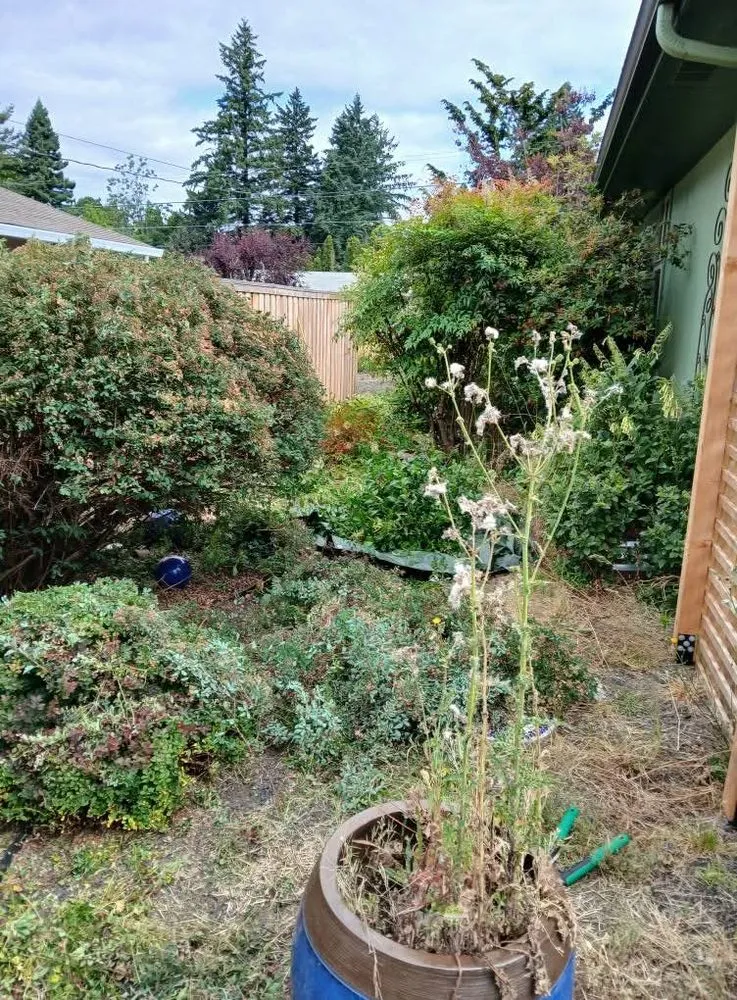 Trusted garden landscaping experts serving Dayton, OR - Greener Side